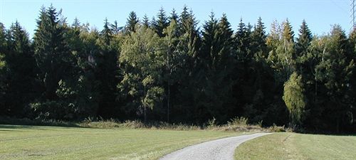 Hotel Am Bad-Wald Бад Либенцел Екстериор снимка